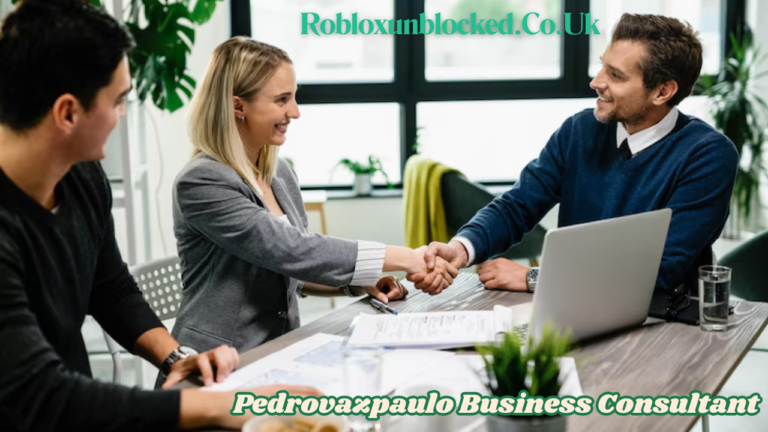 Pedrovazpaulo Business Consultant